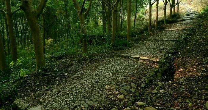 浙江旅游休闲小镇推荐,浙江运动小镇