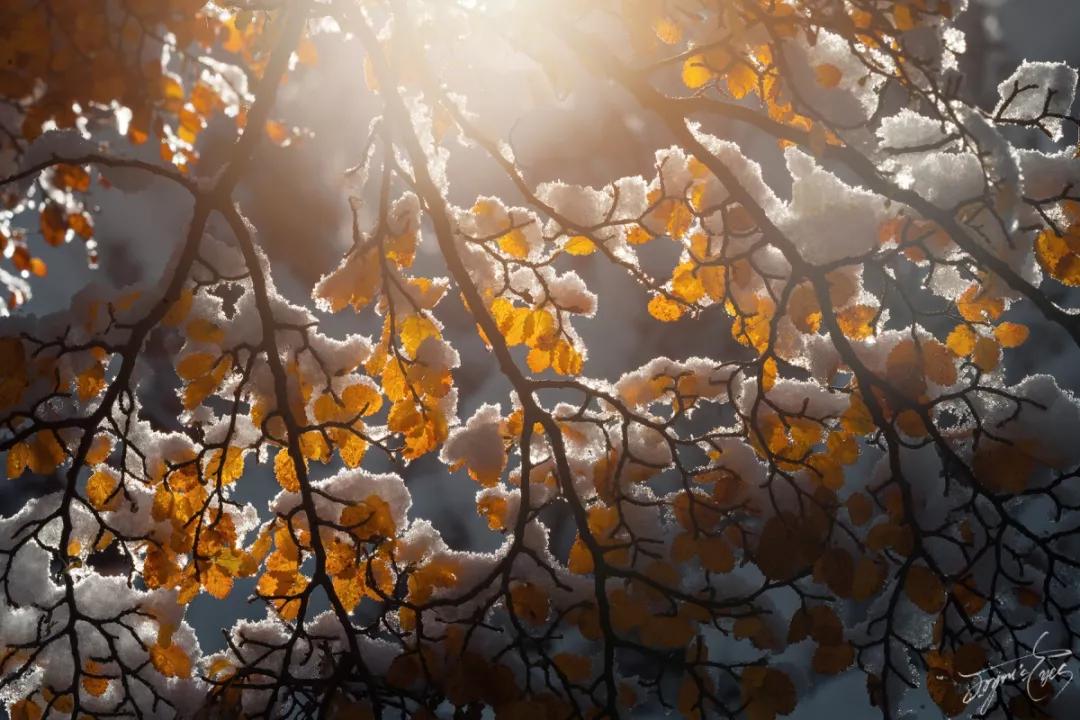 冰雪摄影实战推荐,雪地摄影前期参数