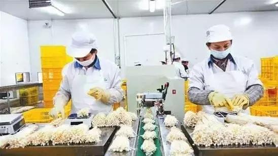 新型农业产业扶持政策,农业种植行业扶持政策