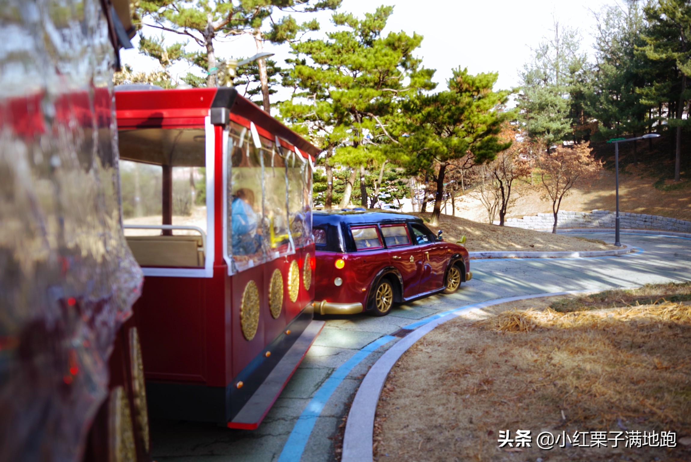 疫散花开张家界,疫散花开欢迎归来