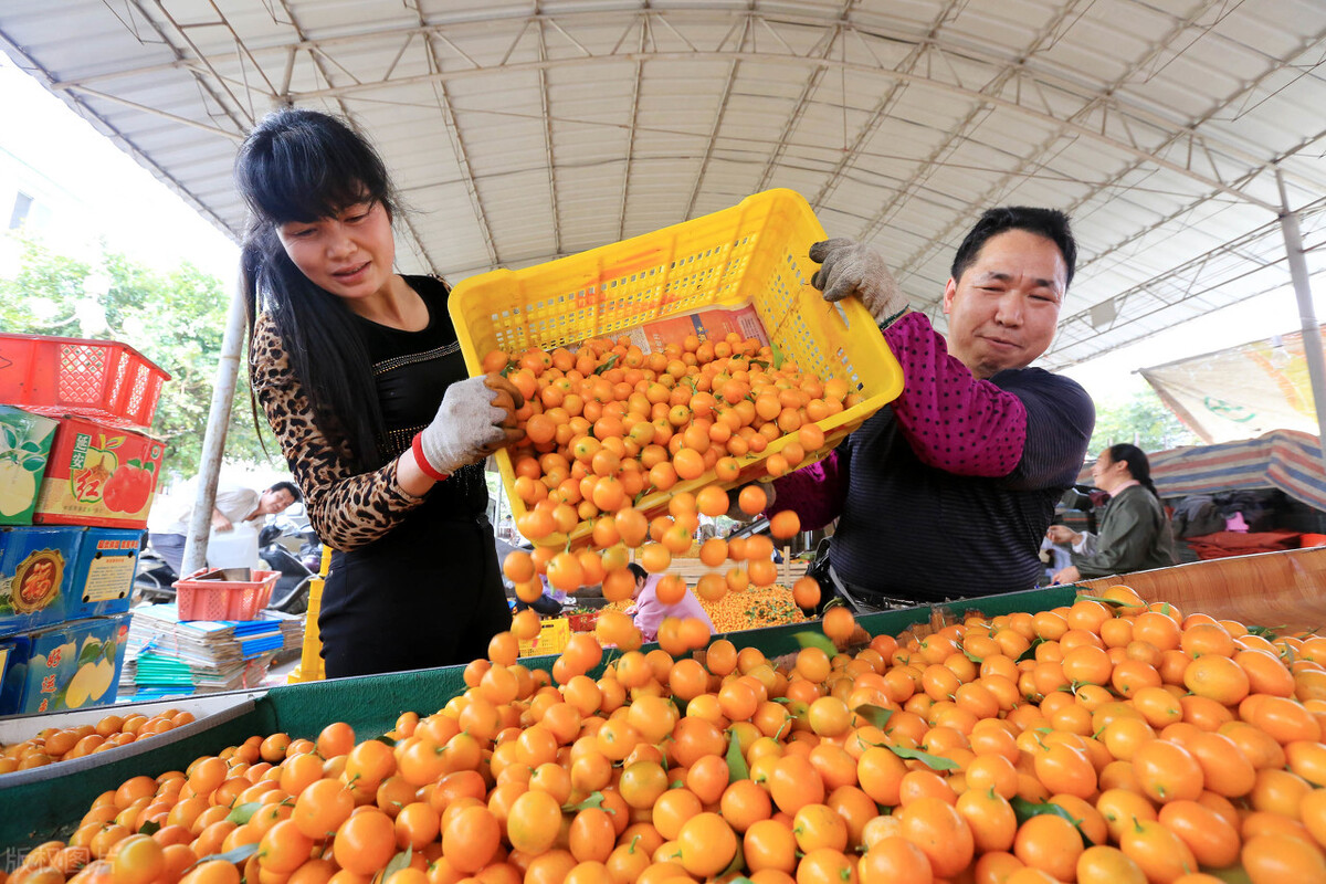 广西农业外资项目管理中心推进农业外贸项目实施助力乡村振兴