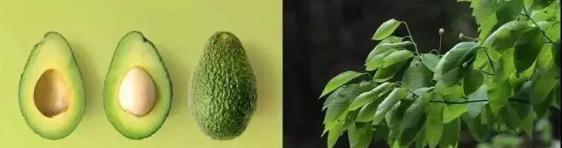 火山泥真是宝,油皮女孩的毛孔疏通剂,让贵妇霜3秒吃透锁水8倍