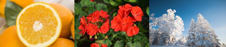 六款小众香水让你闻起来特别贵,五款好闻炸裂的香水