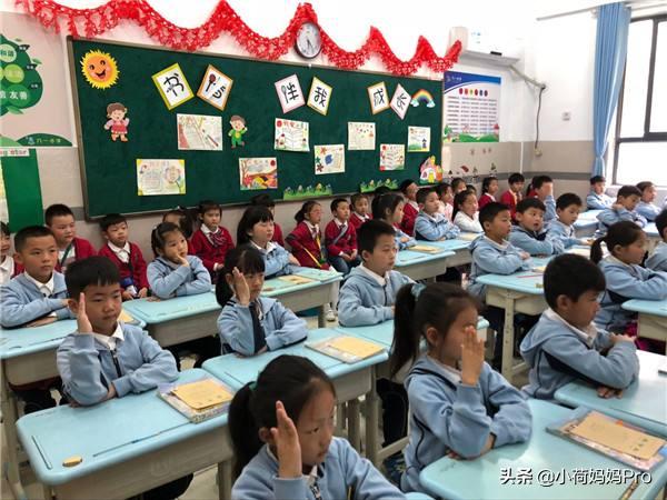 小学生满分作文爆火,小学生优秀作文热门