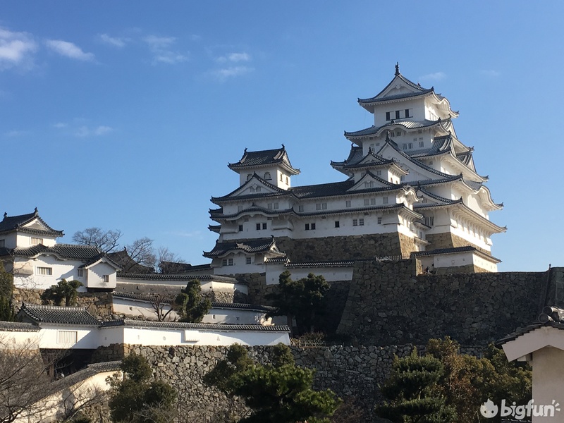 仁王四大剑,仁王太刀的武技