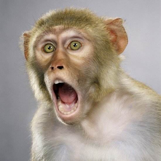 猴子抓伤超24小时打疫苗管用不,被猴子抓了用打疫苗么