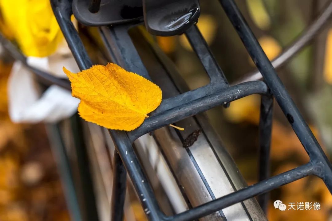 徕卡sl24-90mm镜头上市时间,徕卡顶级镜头75-1.25