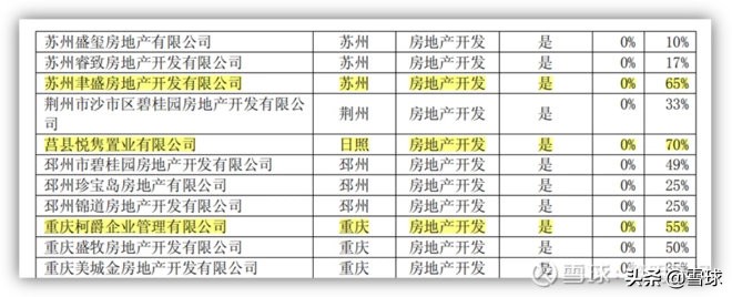新城控股为什么估值高,新城控股为什么发展迅速
