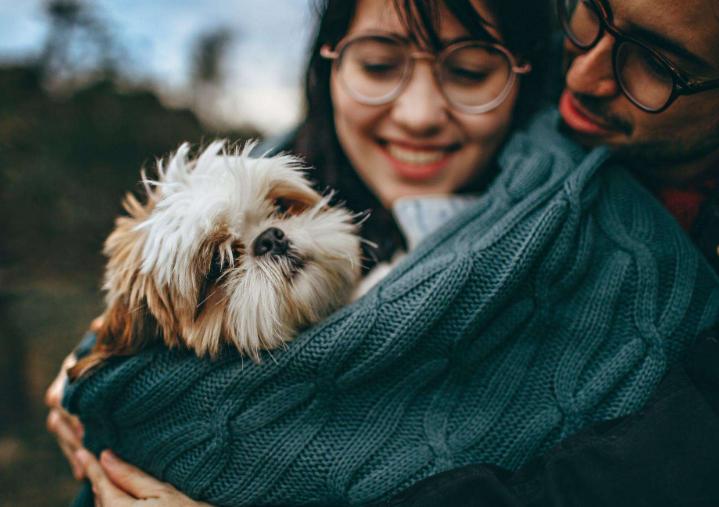 越来越多家庭选择做丁克的原因,条件不好的人选择丁克是正确的吗