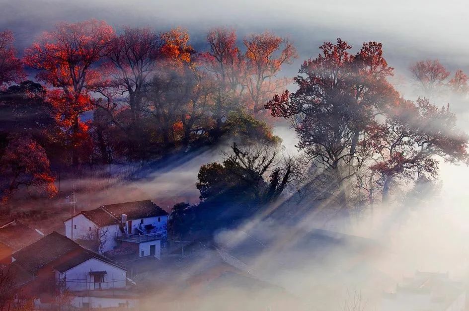 婺源本地人眼里婺源的游玩攻略,婺源景区详细攻略