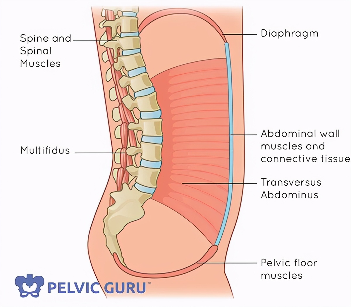 张雨绮怎么瘦成吴谨言了,张雨绮瘦的时候