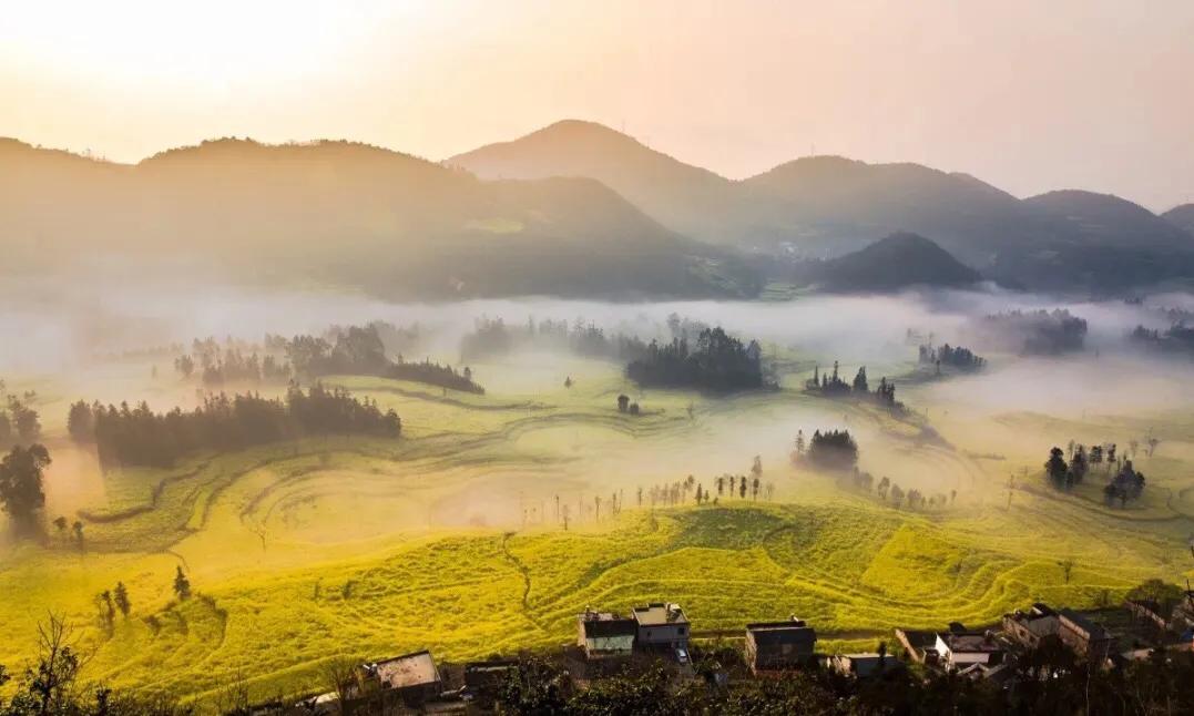 赏油菜花攻略,寻找最美油菜花可去这十大景点