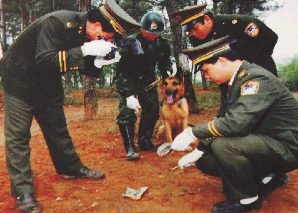 大案揭秘顶级杀人狂魔韩振营,大案纪实横行陕豫的杀人狂魔