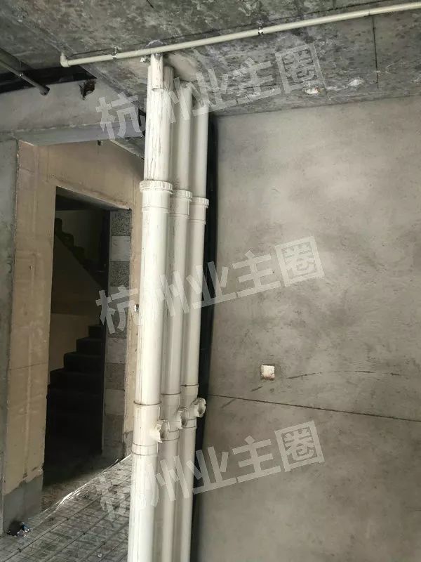 绿都什么意思,绿都包括哪些绿