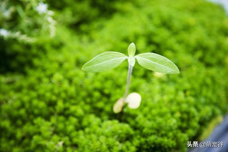 和不喜欢的同事出差住一起咋办,和异性同事一起出差该怎么办