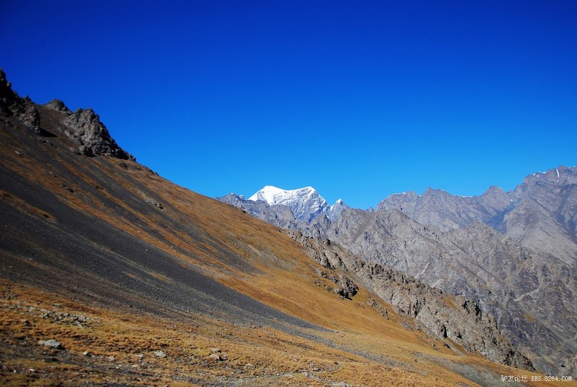 狼c调简谱教唱,狼c