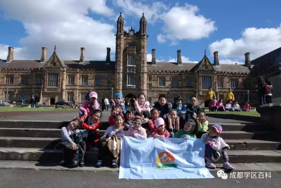 盐道街小学是五朵金花吗,五朵金花深度解析