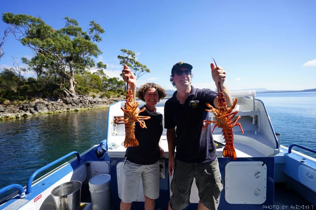 去哪里旅游可以看南极企鹅,旅游攻略南极看企鹅