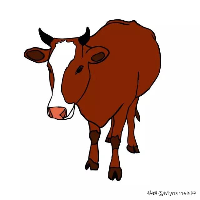 灞炵浉澶╁懡,澶╁懡灞炵浉