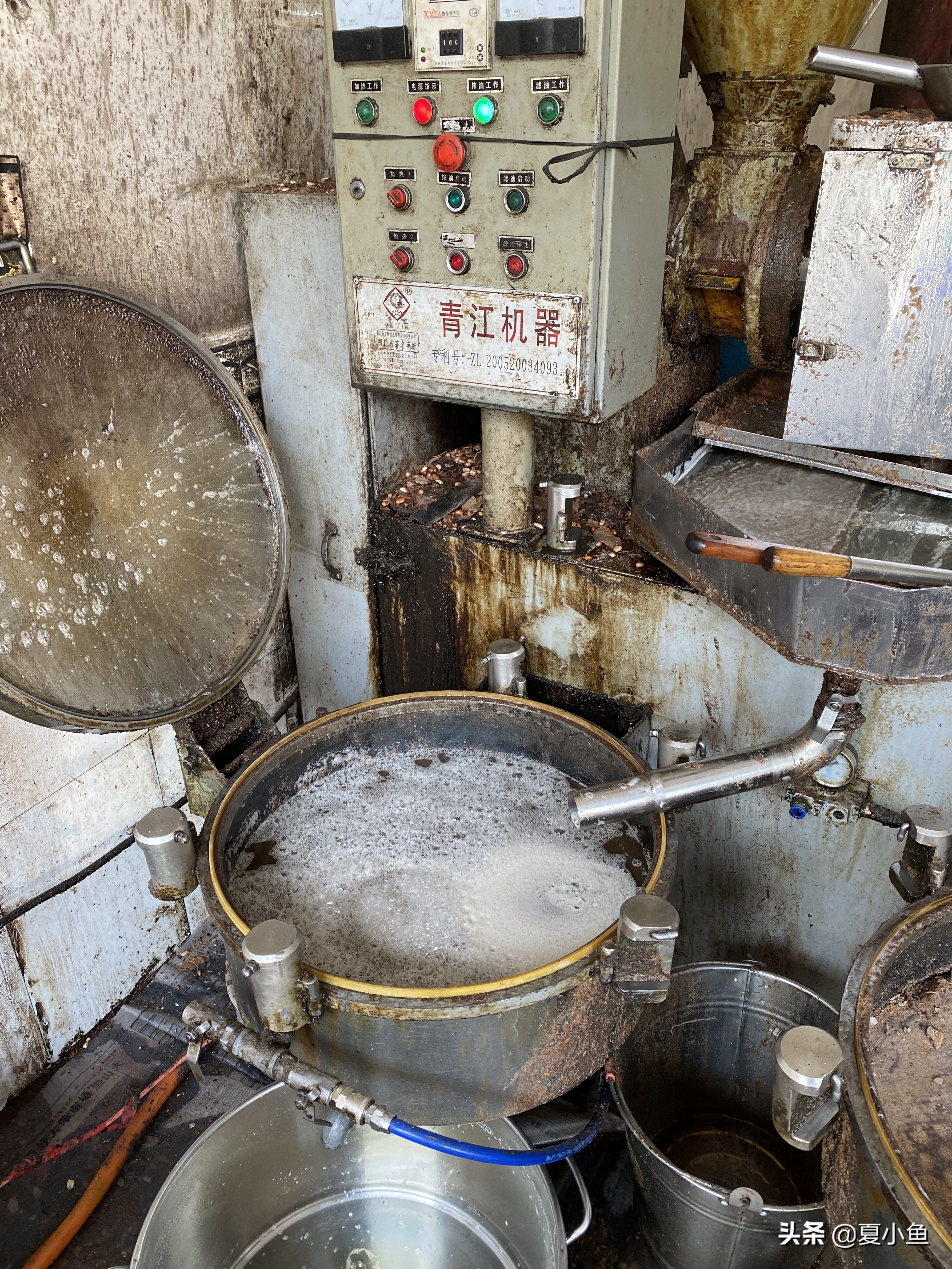 纯正花生油背后的秘密,花生油的猫腻是怎么回事