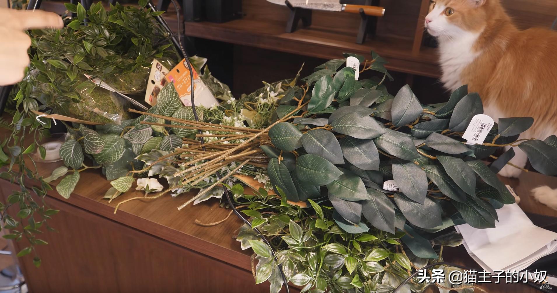 diy猫爬架大约需要什么材料,diy猫爬架材料清单