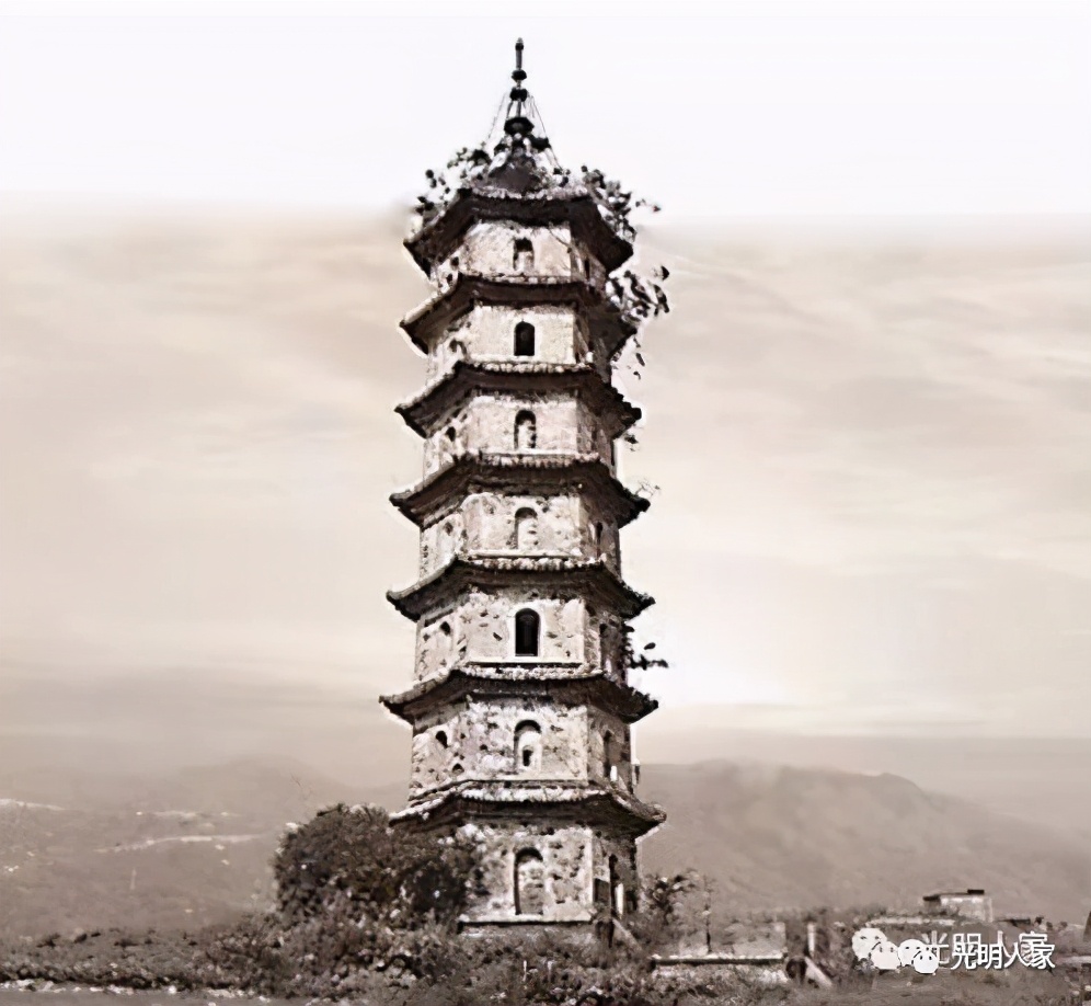 温州有哪三个县级市,温州九大县市哪个县最发达