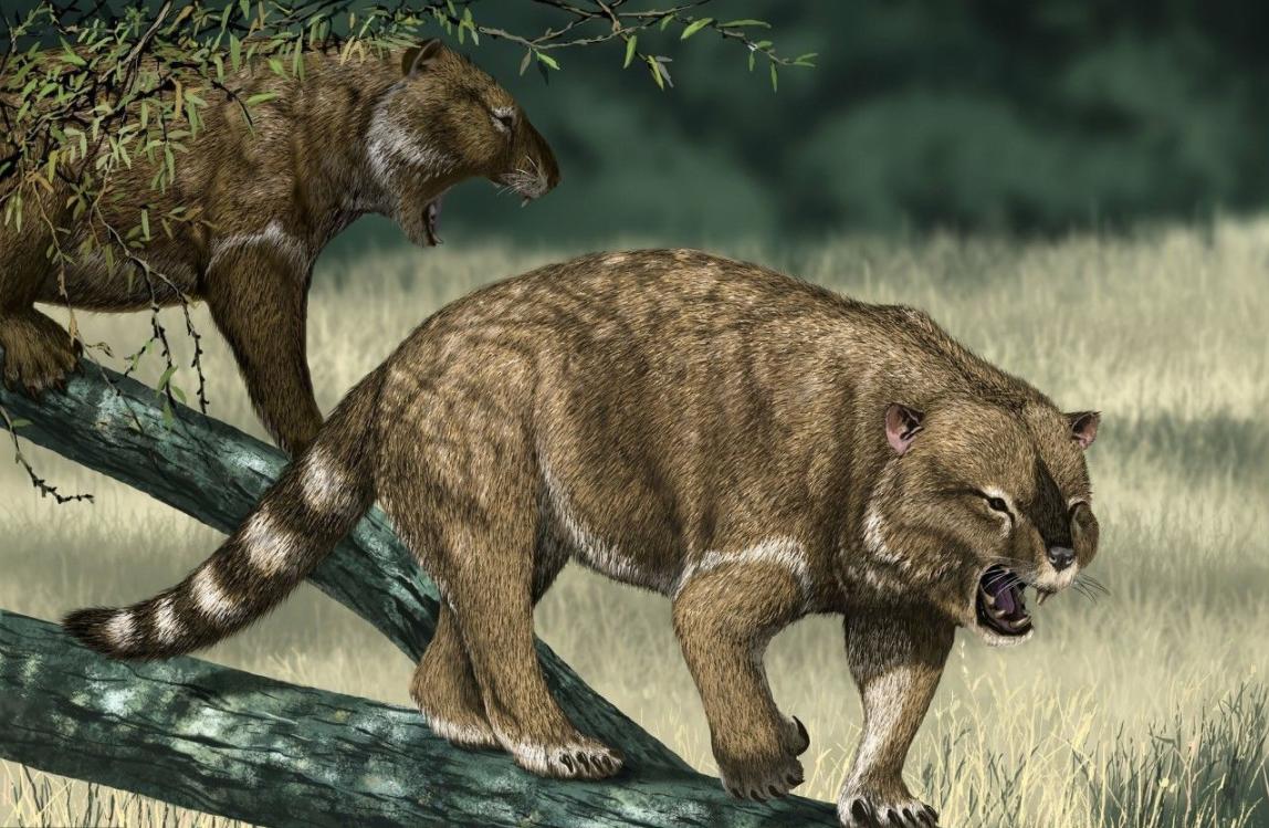 澳洲兔子的百年大战,澳洲人和兔子百年之争