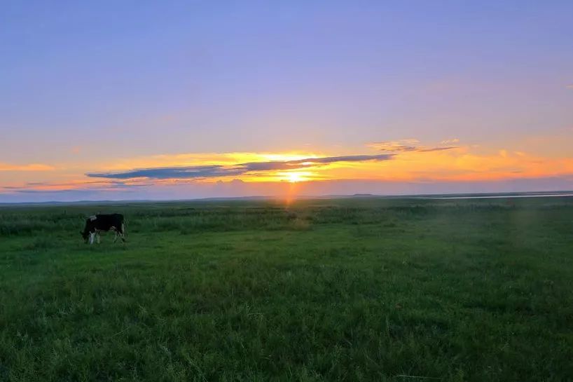 内蒙除了草原还有啥,推荐内蒙古的呼伦贝尔大草原
