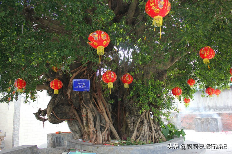 广东旅游海边巽寮湾,巽寮湾捕鱼体验景点