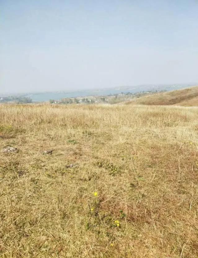 想不通就去爬山看海吧,呼伦贝尔大草原自驾游攻略