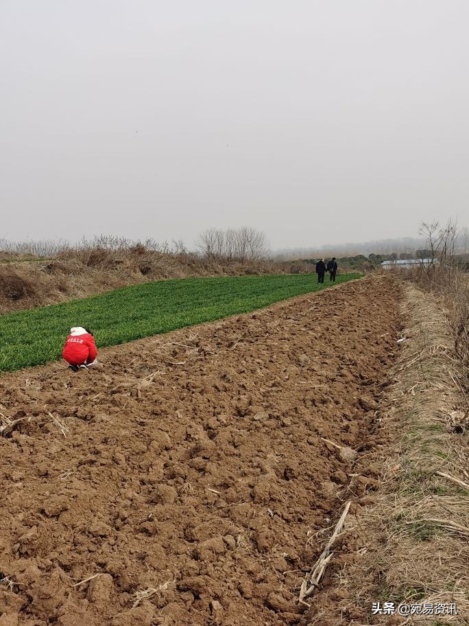 南阳黄山遗址规划图,南阳黄山遗址博物馆规划方案