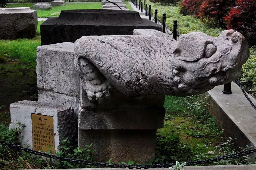 南京这些免费公园，让你任性玩个遍