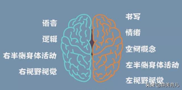 孩子左手改右手吃饭有什么后遗症,孩子总是用左手怎么回事