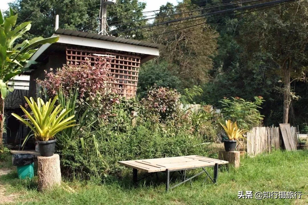 清迈一定要去的咖啡店,打卡泰国清迈6家瀑布咖啡馆