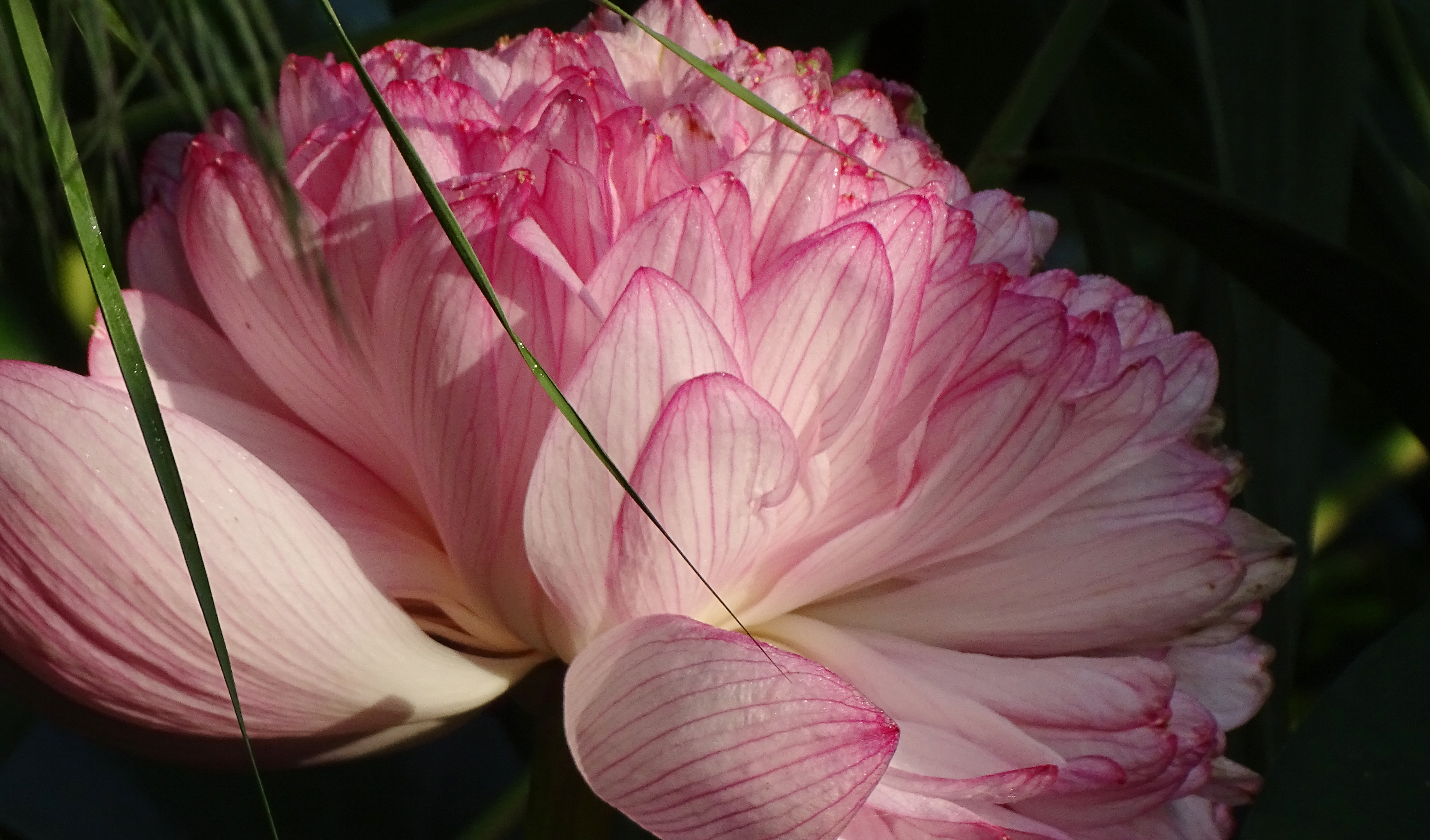 索尼dsc-hx400拍飞机效果,索尼dsc-hx400照片调色