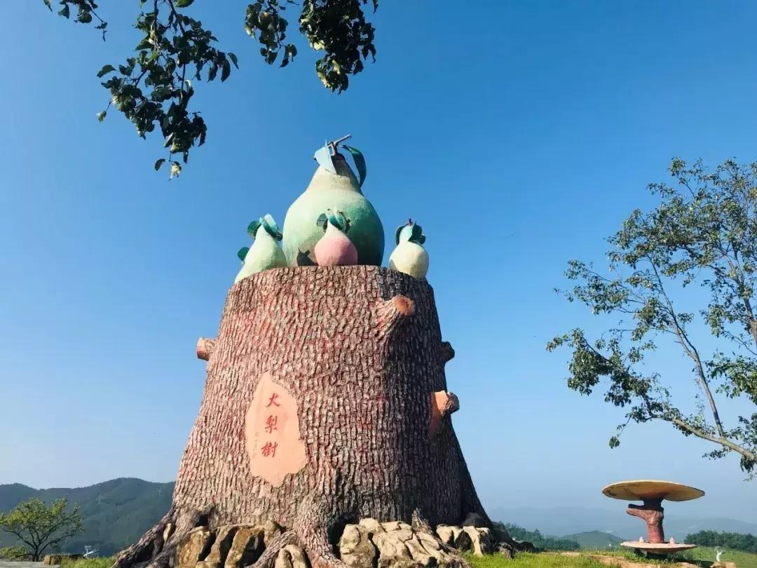 行走辽宁看振兴｜大梨树村的笑声