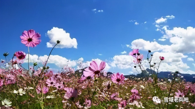 怀念有过当兵的岁月 (当兵的经典回忆)