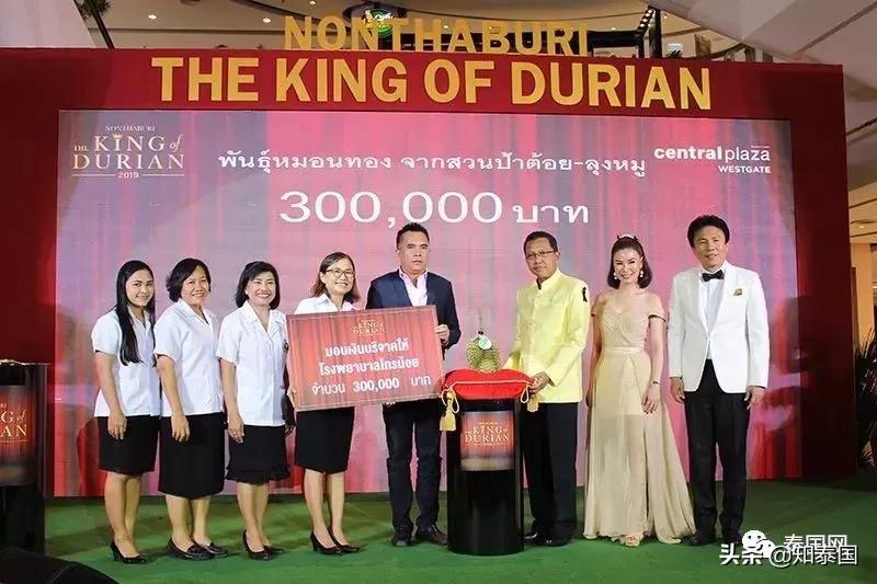 榴莲为啥价格相差那么多,为什么是天价榴莲