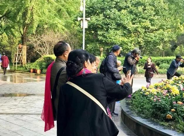 成都耍家,成都耍家是什么