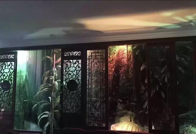 每一个爸妈都是灵魂室内设计师！看完想离家出走……