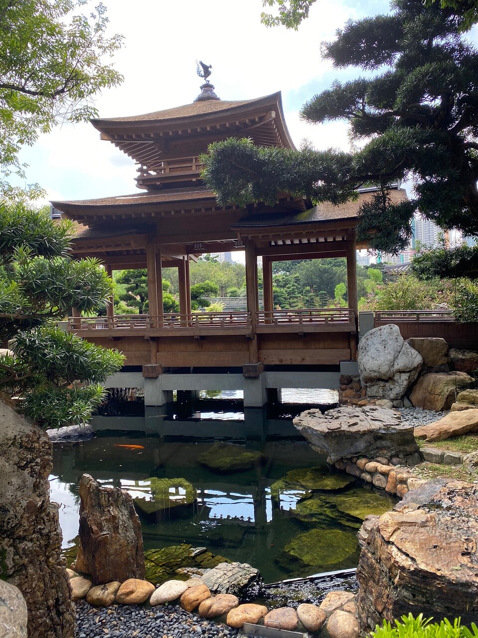 香港志莲净苑地图,香港志莲净苑好玩吗