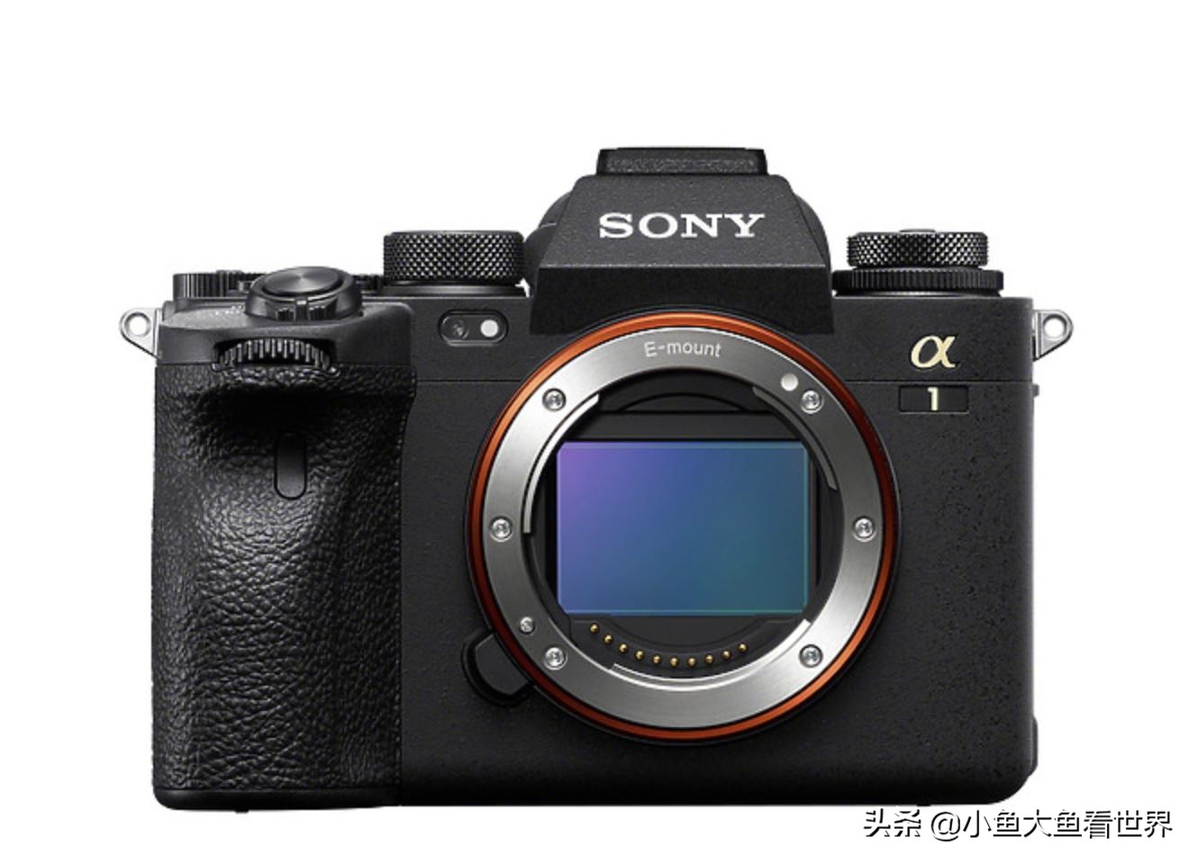 索尼a7r3画质对比佳能eos5d4,索尼a7r3和佳能eosr6对比