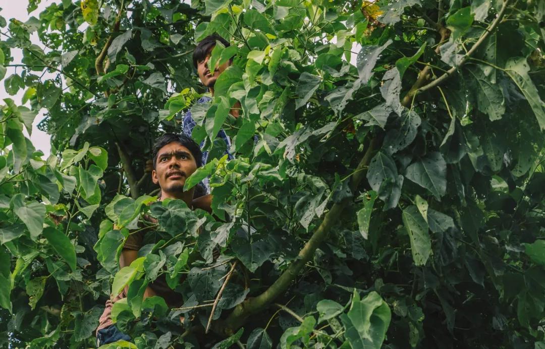 这个微笑国度，见人就夸漂亮，300元就能在天空滑翔