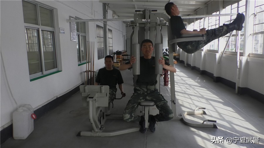 训练要求不严格的表现,训练场地受限怎么说