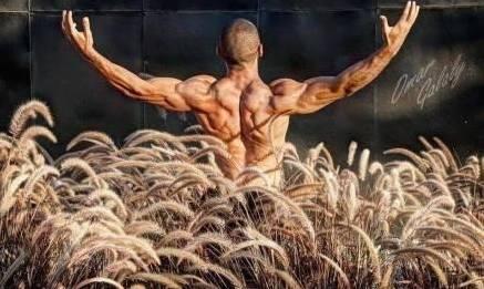 背肌进阶练习小朋友,背肌训练新手开始怎么练