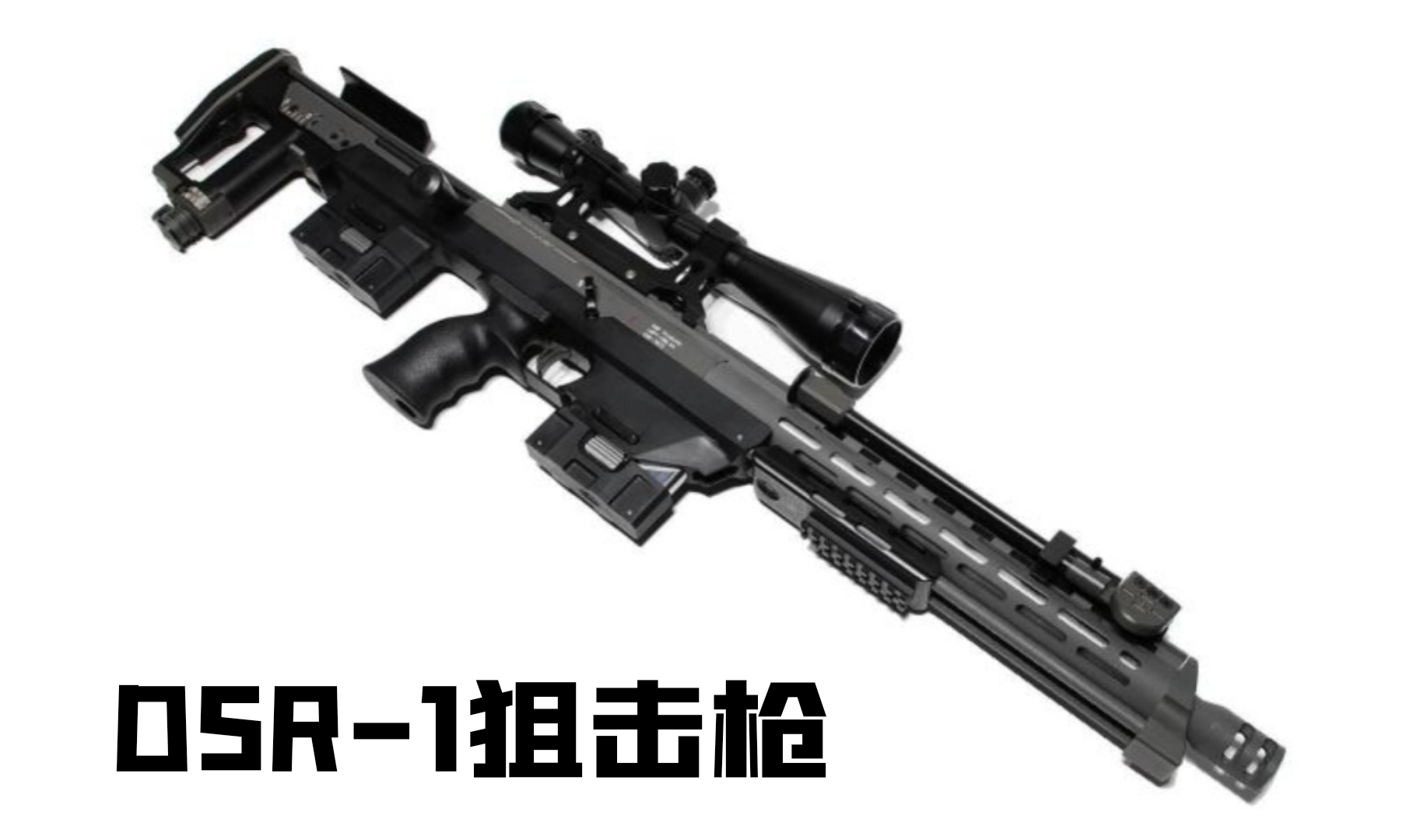 英国枪史图册全篇,德国枪图片