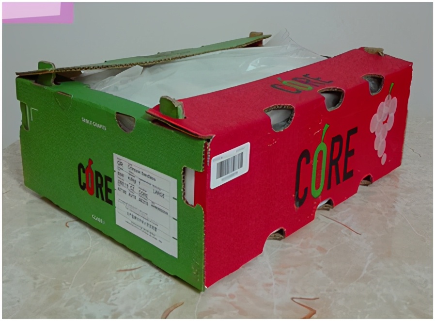 进口提子哪些品种 (进口提子品种及图解)