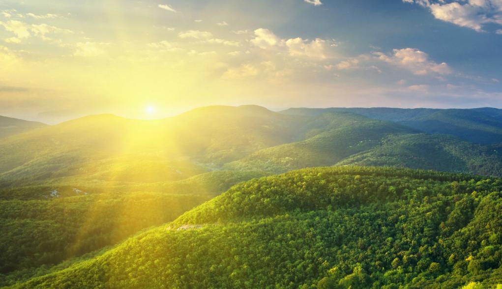 少捕慎诉慎押政策会轻判吗,少捕慎诉典型案例