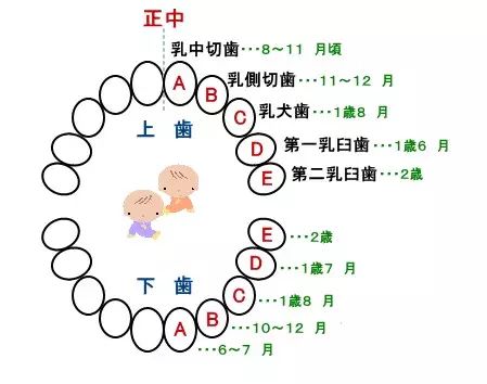 宝宝牙痒爱咬人怎么办,宝宝牙痒痒有什么表现