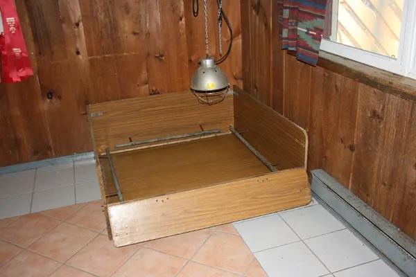 如何在家给狗狗拉毛,如何在家给狗狗补水